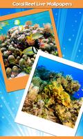 Coral Reef Live Wallpapers پوسٹر