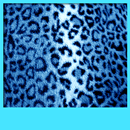 Animal Print Live Wallpapers APK