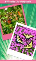 Schmetterlinge leben Tapeten Plakat