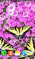 Butterflies Live Wallpapers ภาพหน้าจอ 1