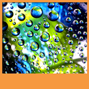 Bubbles Live Wallpapers APK
