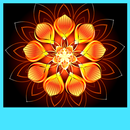 brillando fond pantalla flores APK