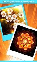 Glowing Flower Live Wallpapers โปสเตอร์