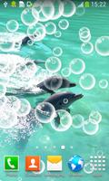 dauphins vivent fonds d'écran capture d'écran 1