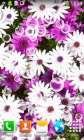 Flowers Live Wallpapers ภาพหน้าจอ 1