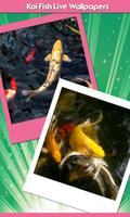 잉어 물고기 라이브 배경 화면 포스터