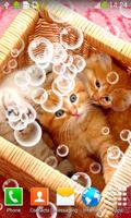 Kittens Live Wallpapers اسکرین شاٹ 1