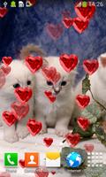 Kittens Live Wallpapers اسکرین شاٹ 3