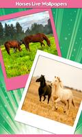 Horses Live Wallpapers پوسٹر