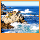 Ocean Live Wallpapers APK