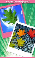 feuilles live wallpapers Affiche