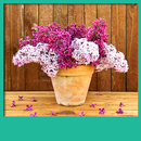 Lilac Flowers Live Wallpapers APK