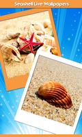 seashell live wallpapers Affiche