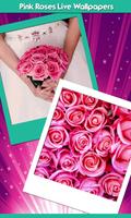 Pink Roses Live Wallpapers پوسٹر