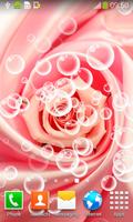 Pink Roses Live Wallpapers اسکرین شاٹ 1