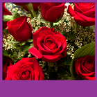 Roses Live Wallpapers آئیکن