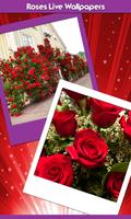 Roses Live Wallpapers পোস্টার