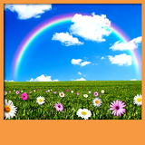 Rainbow Live Wallpapers آئیکن