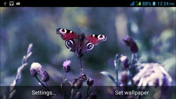 Multi Screen Nature LWP poster