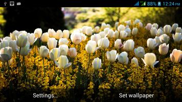 Multi Screen Nature LWP Screenshot 1