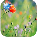 APK Nature live wallpapers (Pro)