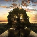 Abstrak CG Wallpaper Live APK
