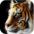 Big Cats Live Wallpapers APK