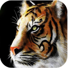 Big Cats Live Wallpapers icono