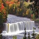 Live Earth Wallpaper APK