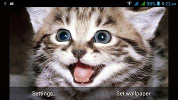 Funny Cats Live Wallpapers اسکرین شاٹ 1
