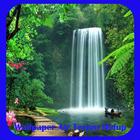 live waterfall wallpaper icône