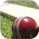 APK Cricket Match Summary