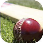 Cricket Match Summary icône