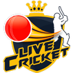IPL T20 Fantasy League