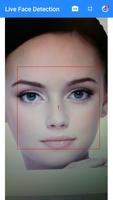 Live Face Detection Affiche
