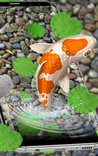 錦鯉魚生活牆紙18 主題apk 1 1安卓下載 下載錦鯉魚生活牆紙18 主題apk最新版本 Apkfab Com