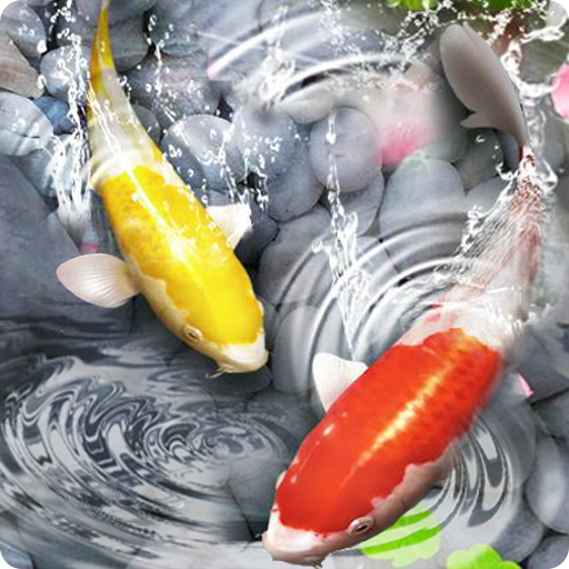 Fish Live Wallpaper 3D: Lively Koi Fish Background APK for Android – Download Fish Live Wallpaper 3D: Lively Koi Fish Background APK Latest Version from Fish Live Wallpaper 3D: Lively Koi Fish Background APK for Android – Download Fish Live Wallpaper 3D: Lively Koi Fish Background APK Latest Version from