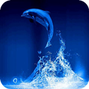 Dolphin live wallpaper-APK