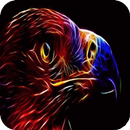 Sparkling eagle LWP-APK