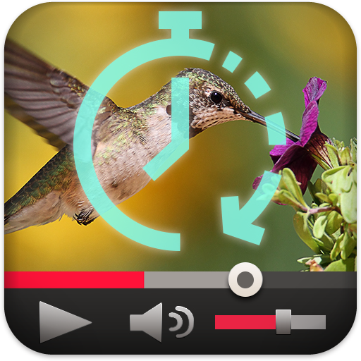 Slow Motion Fast Forward Video