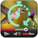 Slow Motion Fast Forward Video APK