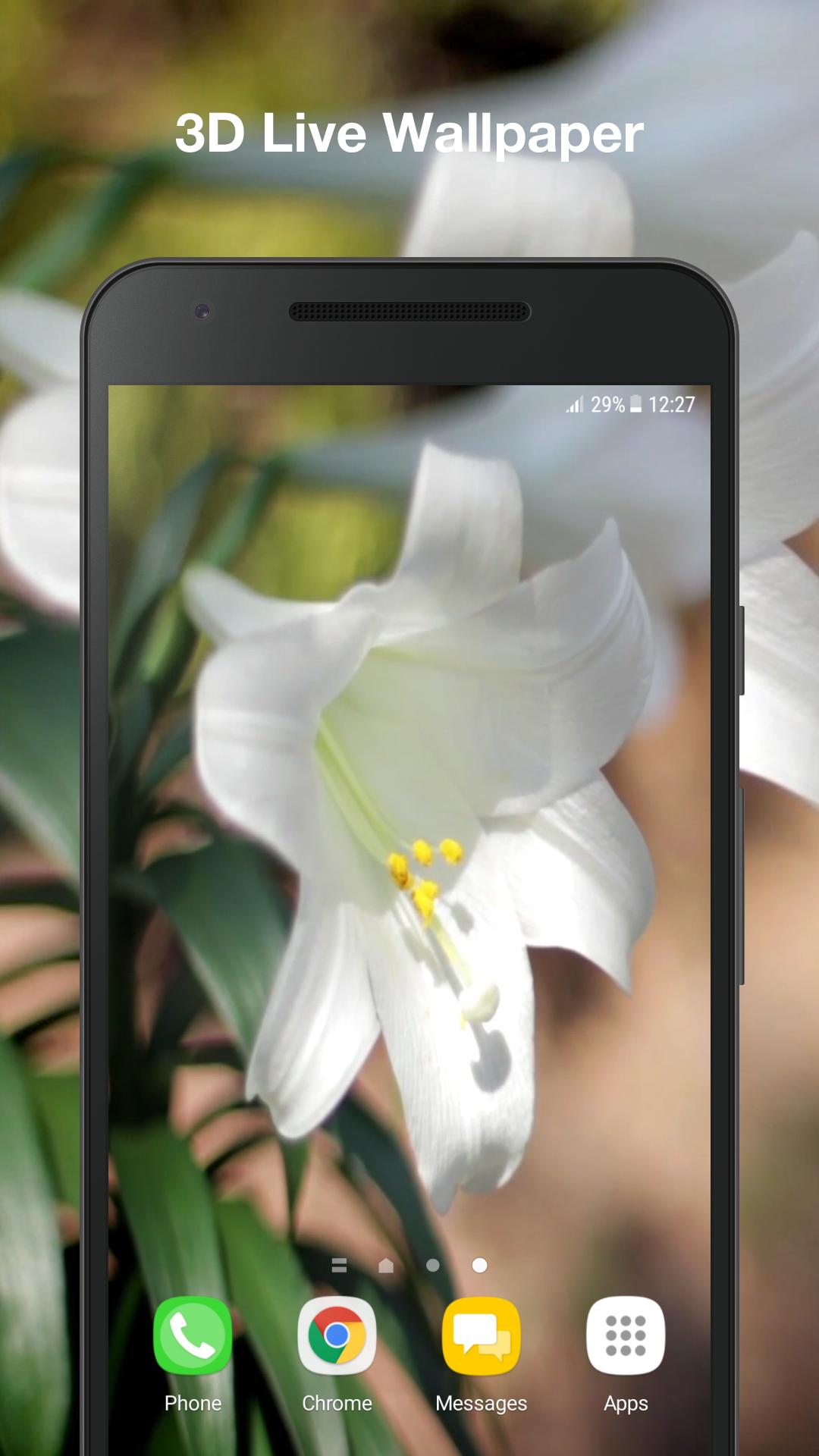 Unduh 400 Wallpaper Bunga Lili Paling Baru Unduh 400 Wallpaper Bunga Lili Paling Baru