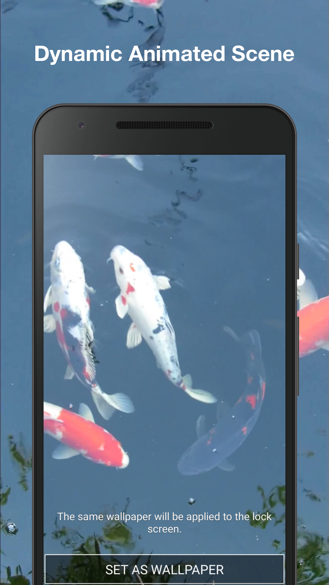 Koi Fish Live Wallpaper APK for Android – Download Koi Fish Live Wallpaper XAPK (APK Bundle) Latest Version from Koi Fish Live Wallpaper APK for Android – Download Koi Fish Live Wallpaper XAPK (APK Bundle) Latest Version from