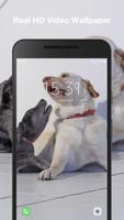 Puppies Live Wallpaper ภาพหน้าจอ 2