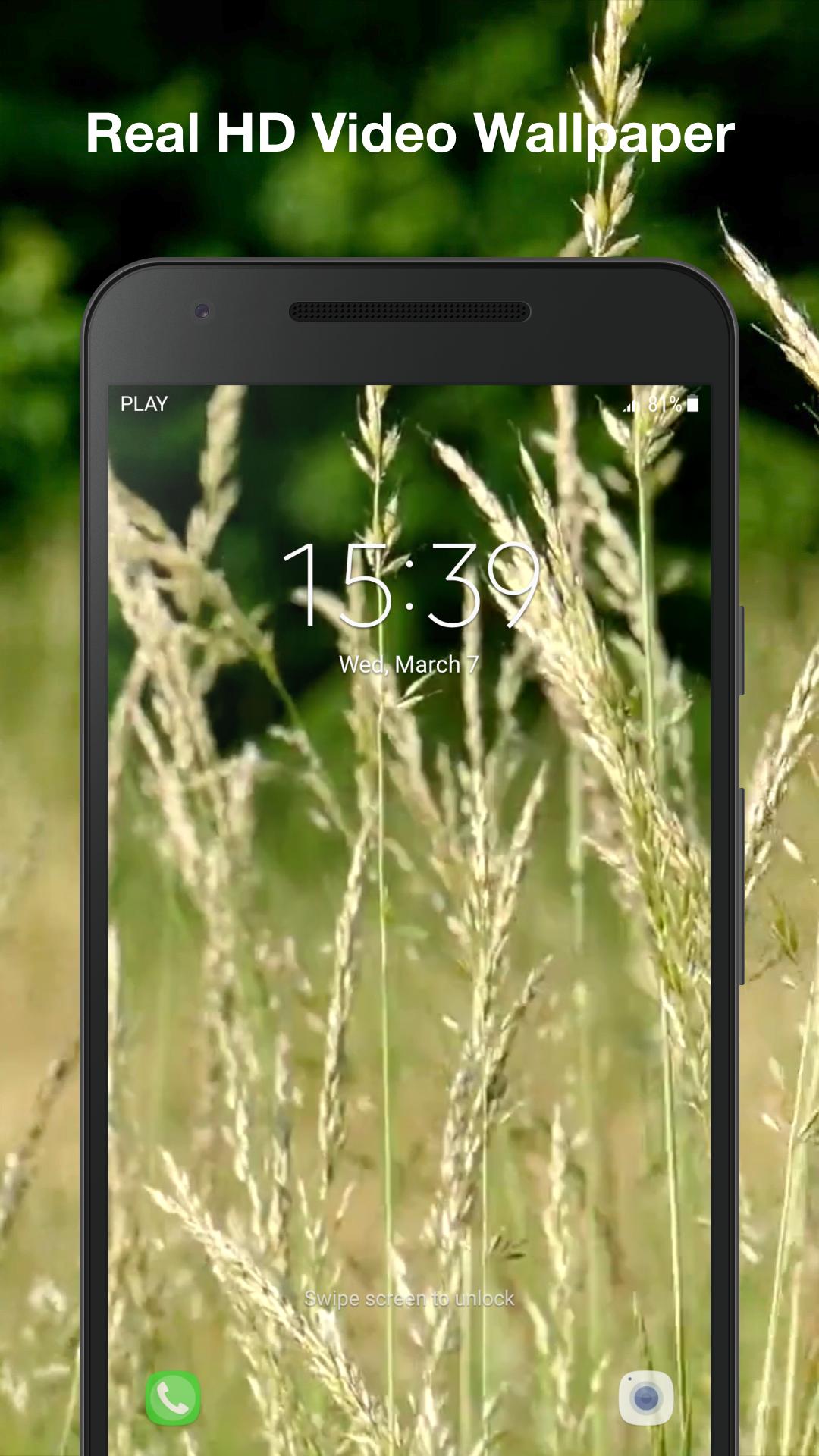 80+ Gambar Animasi Rumput Paling Bagus 80+ Gambar Animasi Rumput Paling Bagus