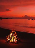 The nature and mood اسکرین شاٹ 1