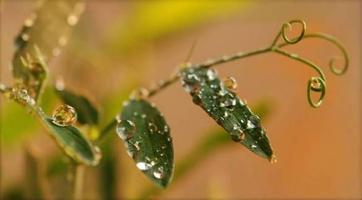 In the rain part 1 স্ক্রিনশট 2