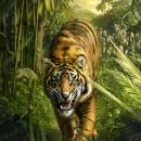 Tigers part 3 APK