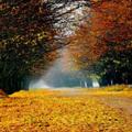 Autumn