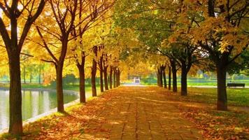 Autumn part 7 imagem de tela 2